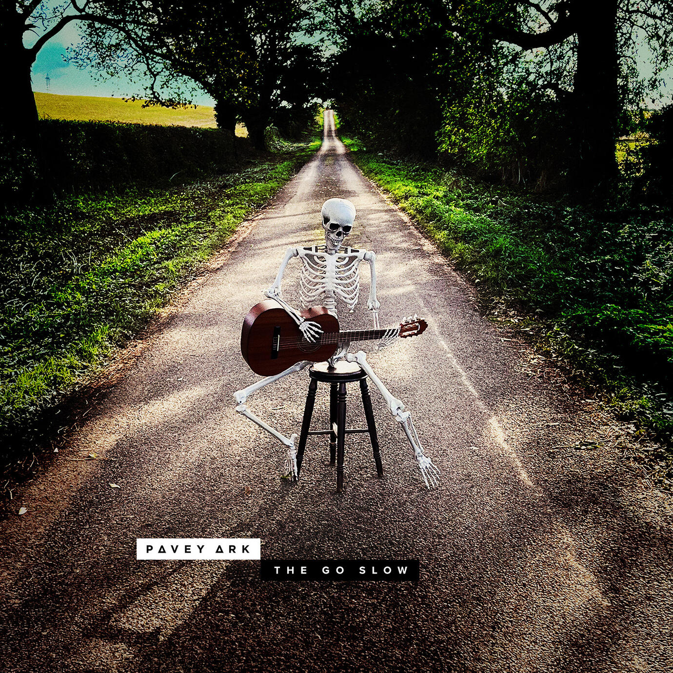 The Go Slow single artwork